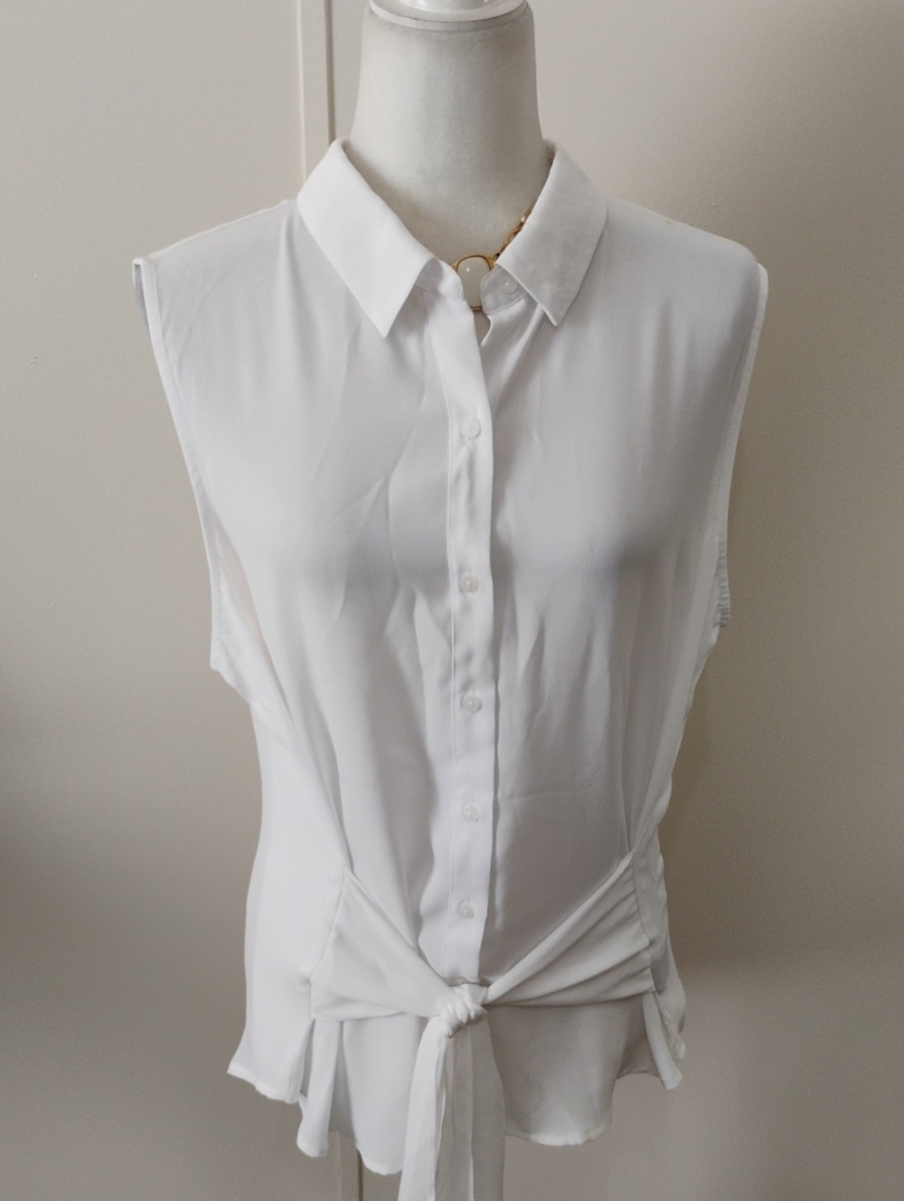 Gorgeous Worthington Blouse